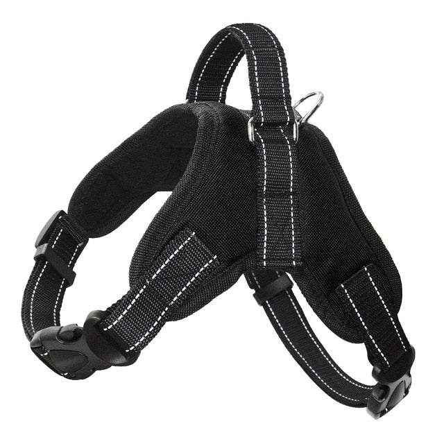 No Pull Dog Harness.