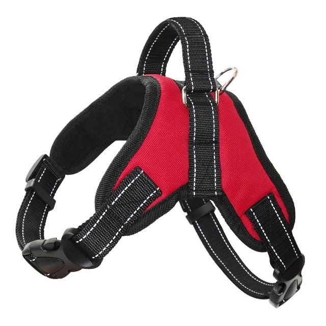 No Pull Dog Harness.