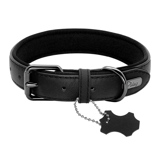 Padded Genuine Leather Dog Collar.