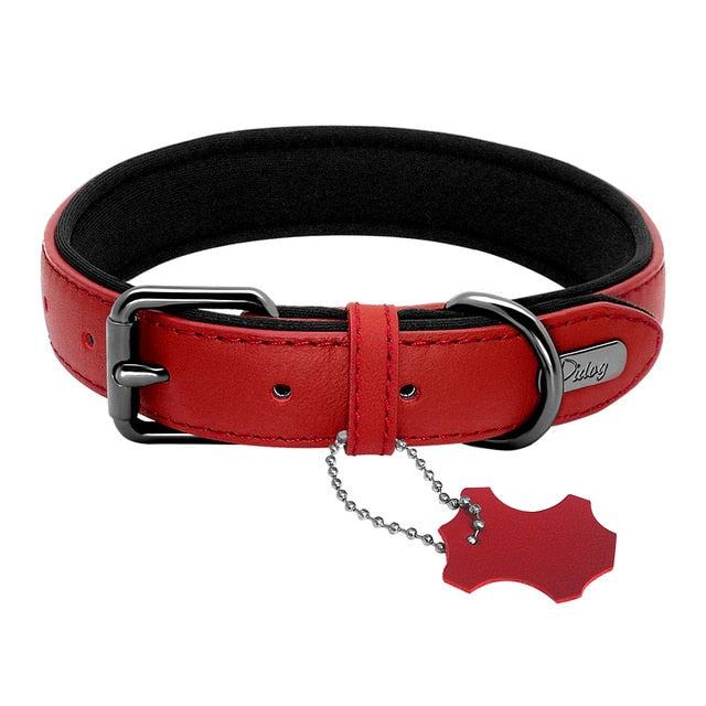 Padded Genuine Leather Dog Collar.