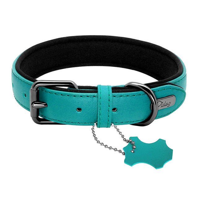 Padded Genuine Leather Dog Collar.
