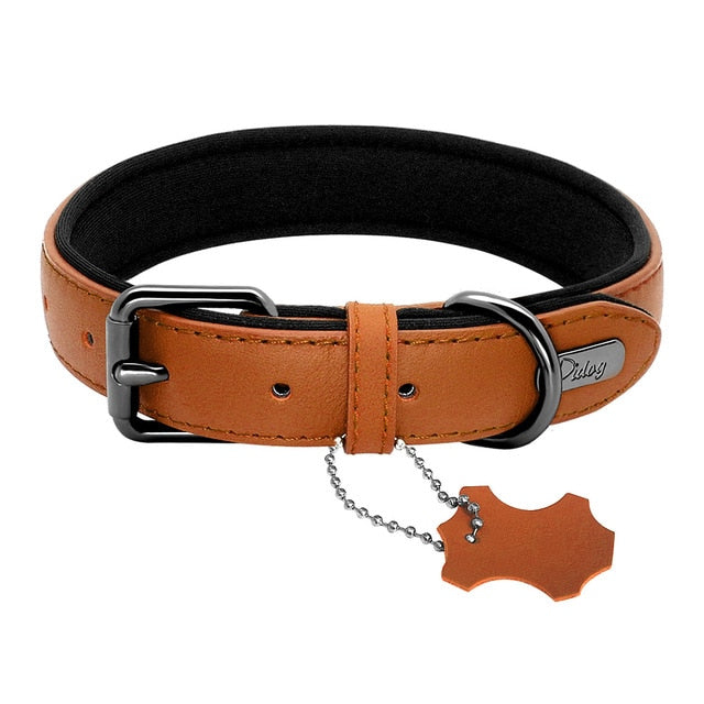 Padded Genuine Leather Dog Collar.