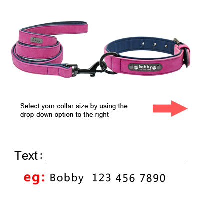 purple Custom leash and dog collar