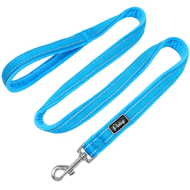 blue leash for dog walking