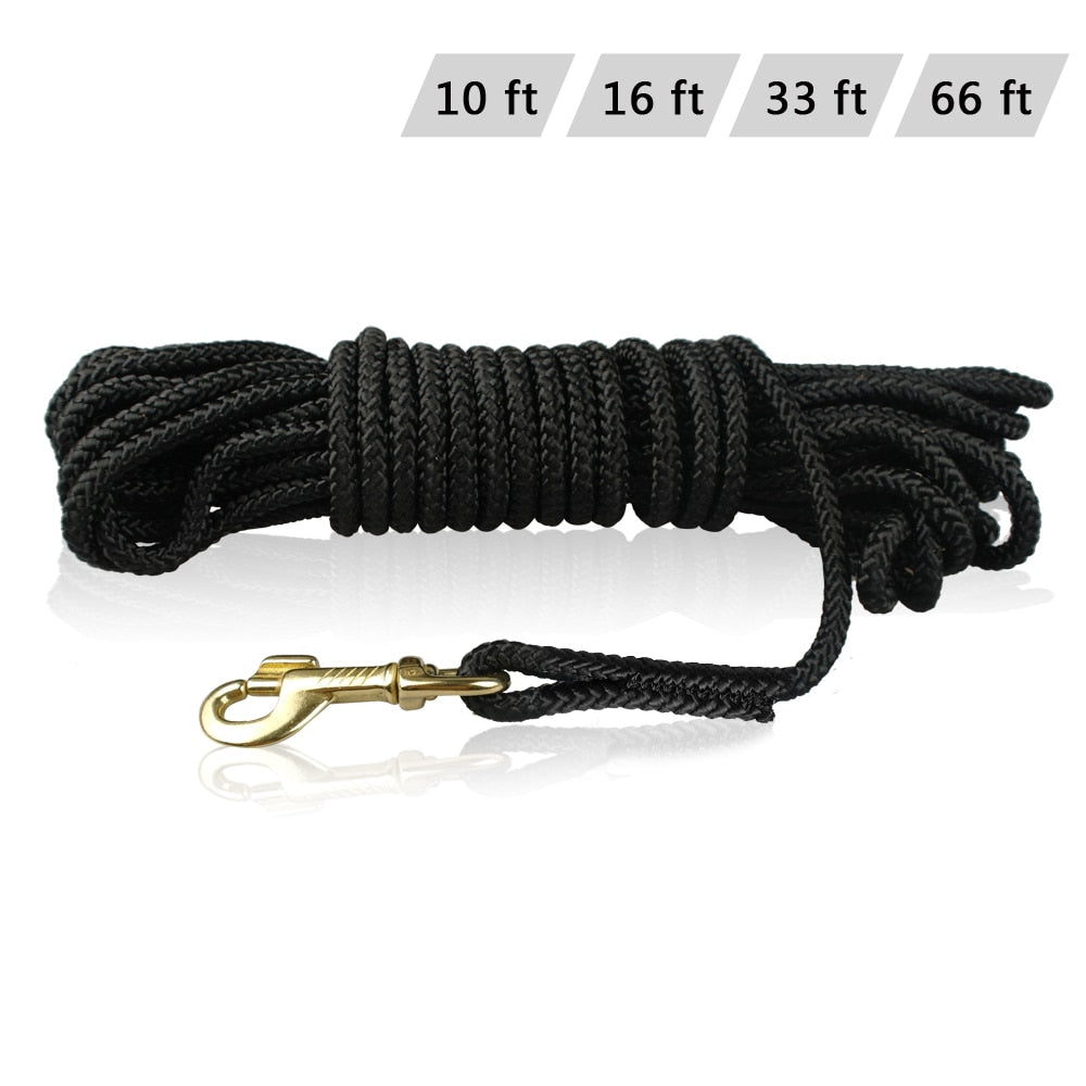 Training Tracking Dog Leash.