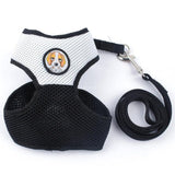 Dog Harness and Leash Set.