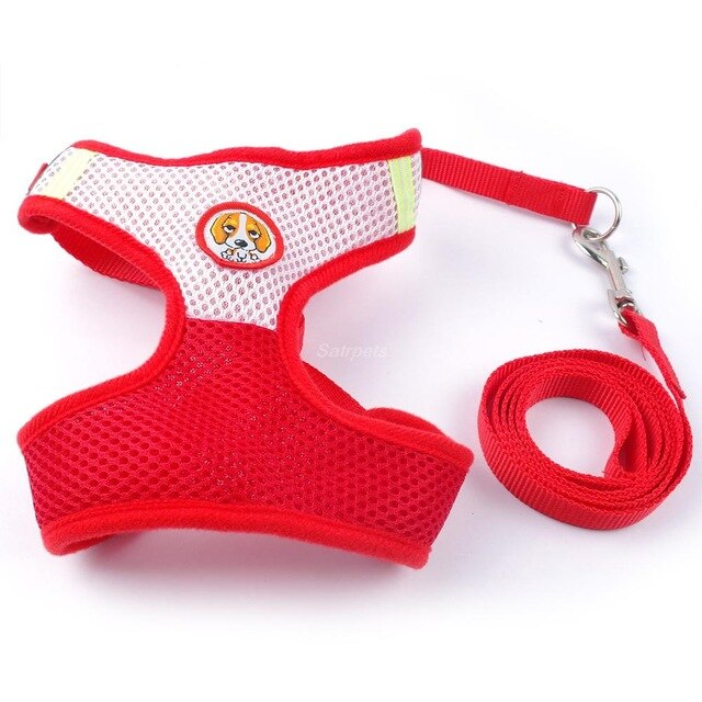 dog collar harness and leash set