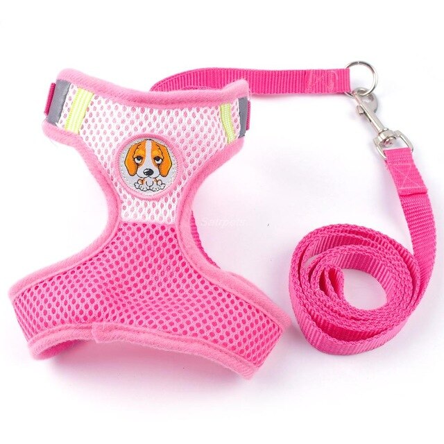 collar leash harness set