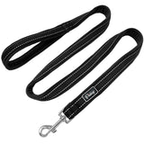 Soft Nylon Padded Leash.
