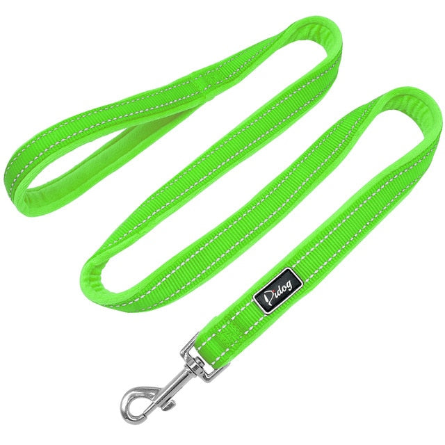 green leash belt for walking dog