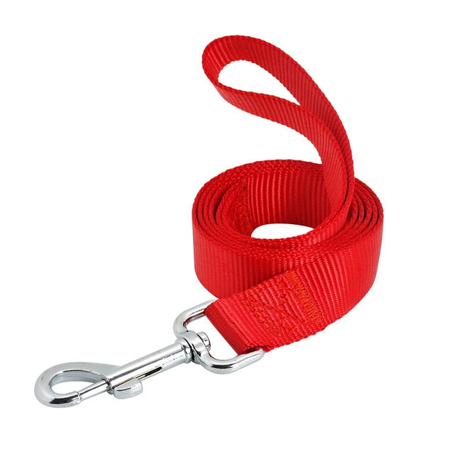 Nylon Puppy Leash Belt