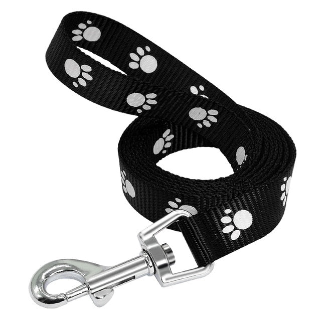 Rope Leash For Small Dog