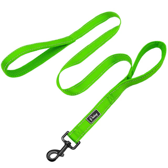 Double Handle Dog Leash.