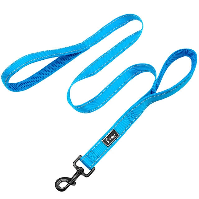 best dog leash double handle