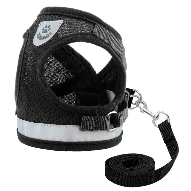 Dog Mesh Harness Vest.