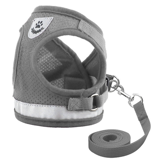 Dog Mesh Harness Vest.