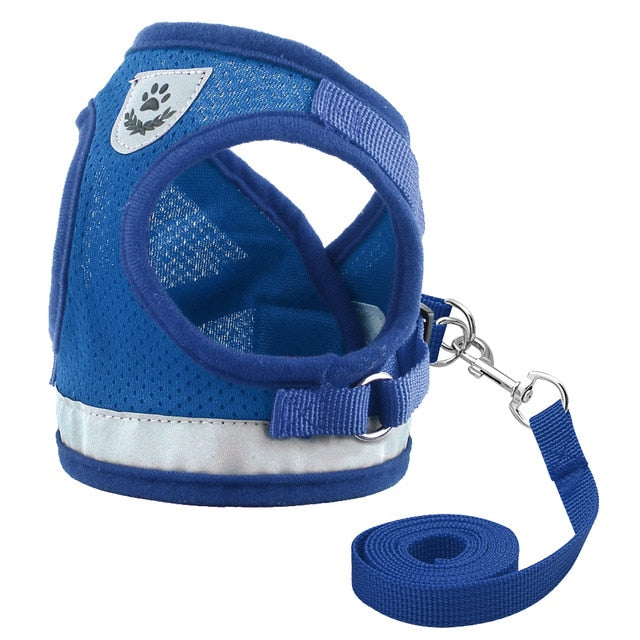Dog Mesh Harness Vest.