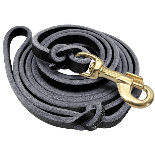 Running Leather Dog Leash.