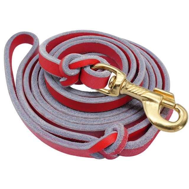 Running Leather Dog Leash.