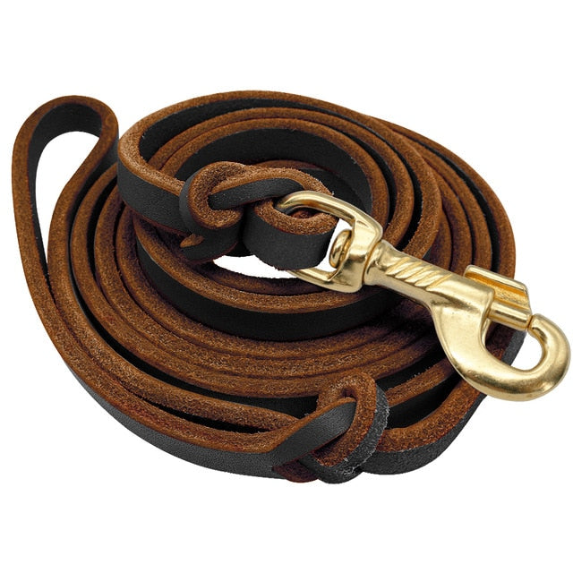 Running Leather Dog Leash.