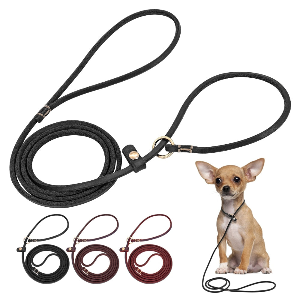 Training Leather Dog Leash.