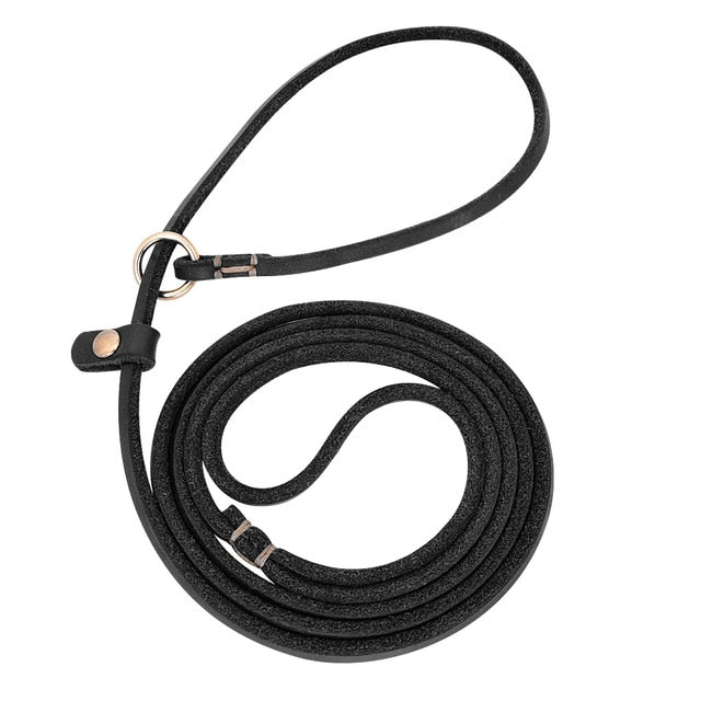 Training Leather Dog Leash.