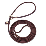 long leather dog leads