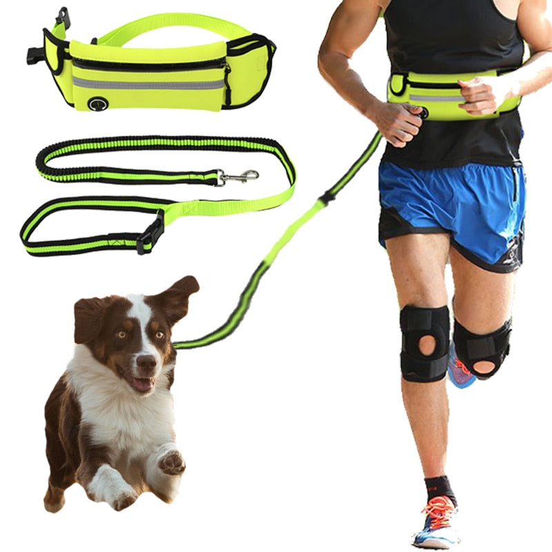 Bungee Hands-Free Dog Leash.