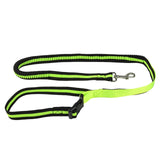 Bungee Hands-Free Dog Leash.
