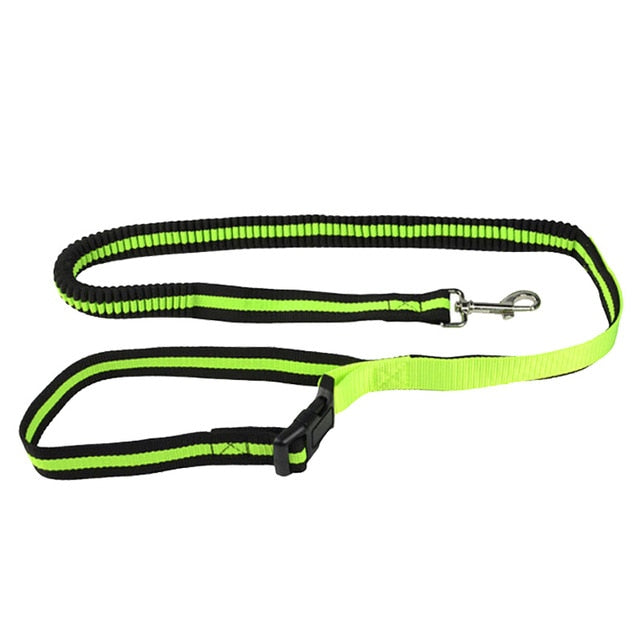 Bungee Hands-Free Dog Leash.