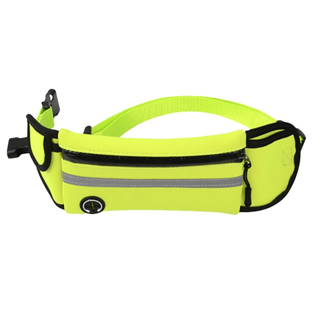 Bungee Hands-Free Dog Leash.