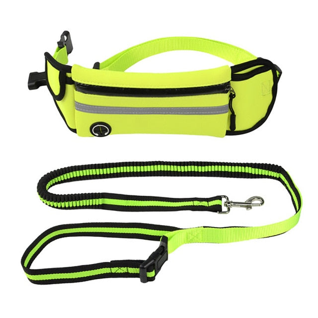 Bungee Hands-Free Dog Leash.