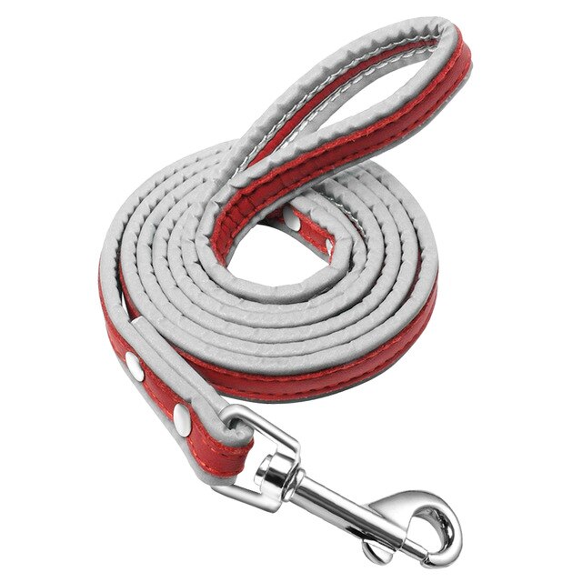 Leather 4ft Reflective Dog Leash.