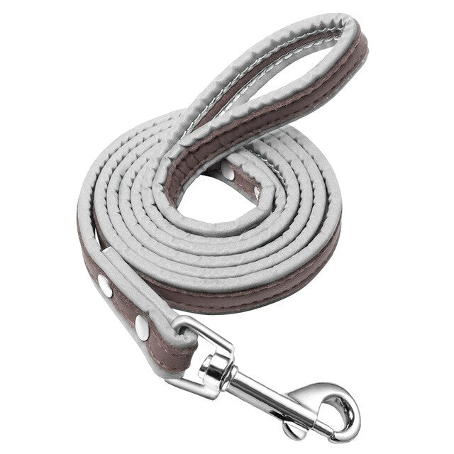 Leather 4ft Reflective Dog Leash.