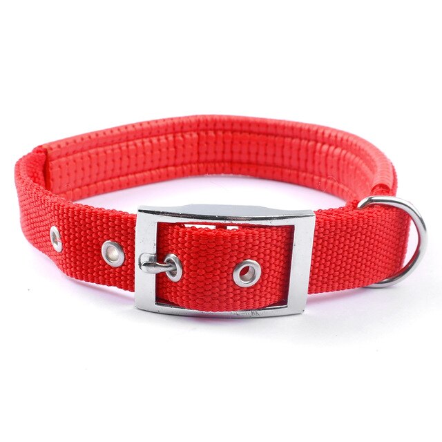 Nylon red Dog Collar