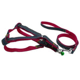 Adjustable No-Pull Dog Harness.