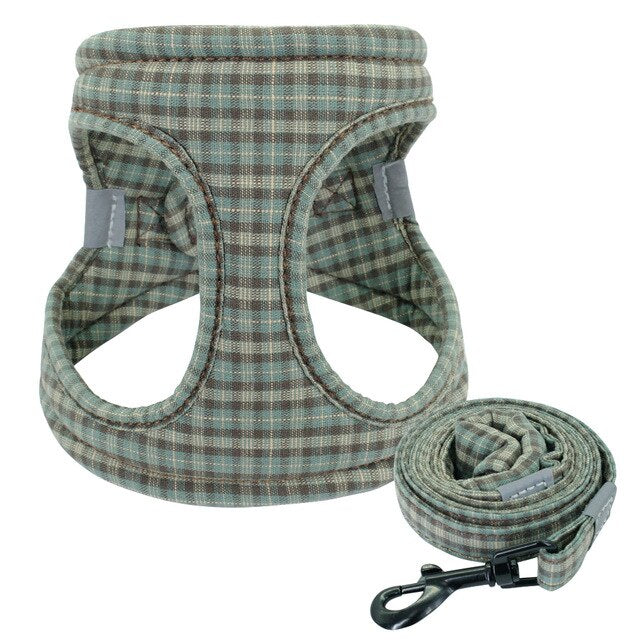 dog leash and vest harness set