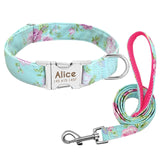 Fit collar and leash for large dogs