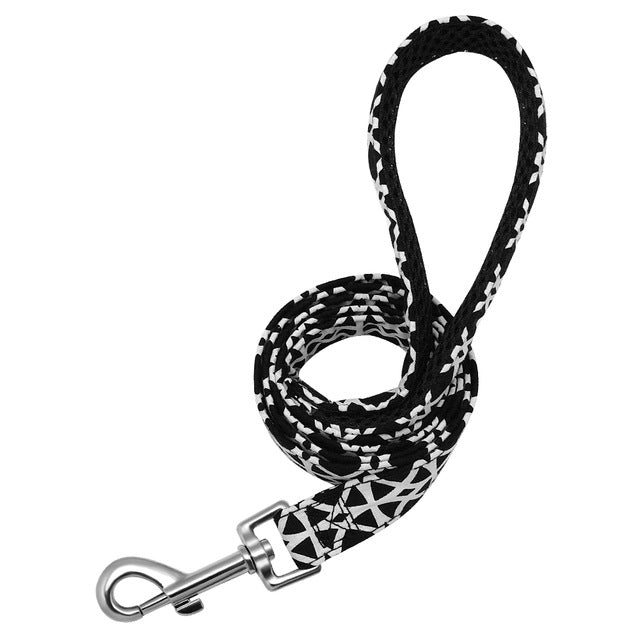 Printed Personalized Dog Leash Set.