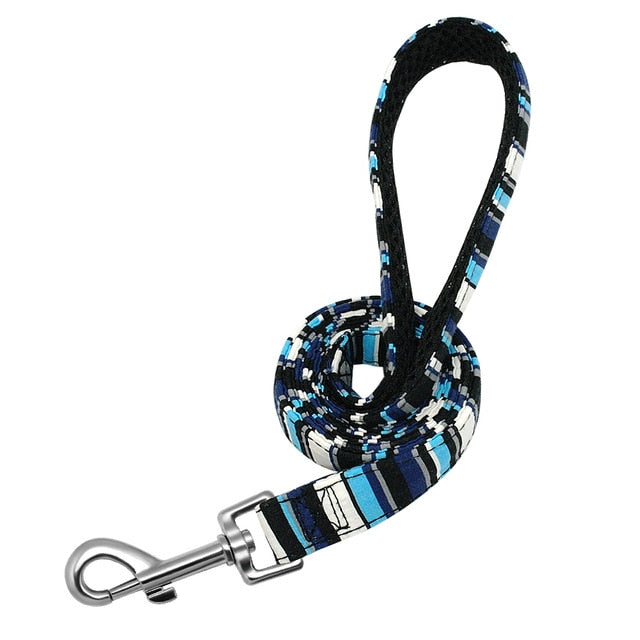 Printed Personalized Dog Leash Set.