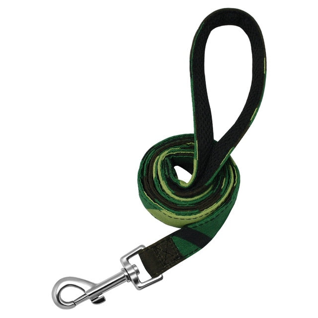 green leash for dogs training 