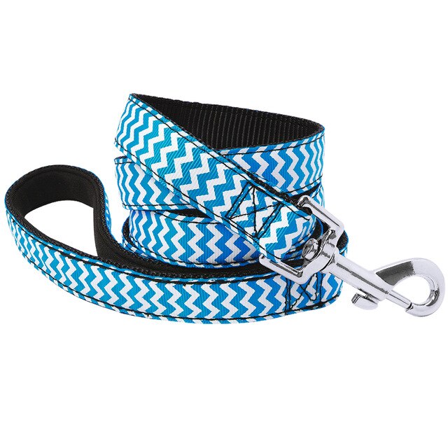 Active Hands-Free Dog Leash.