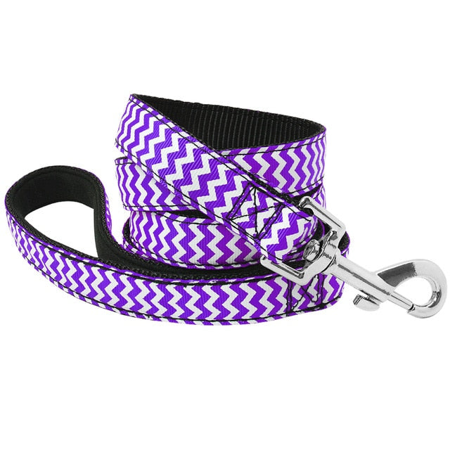 Active Hands-Free Dog Leash.