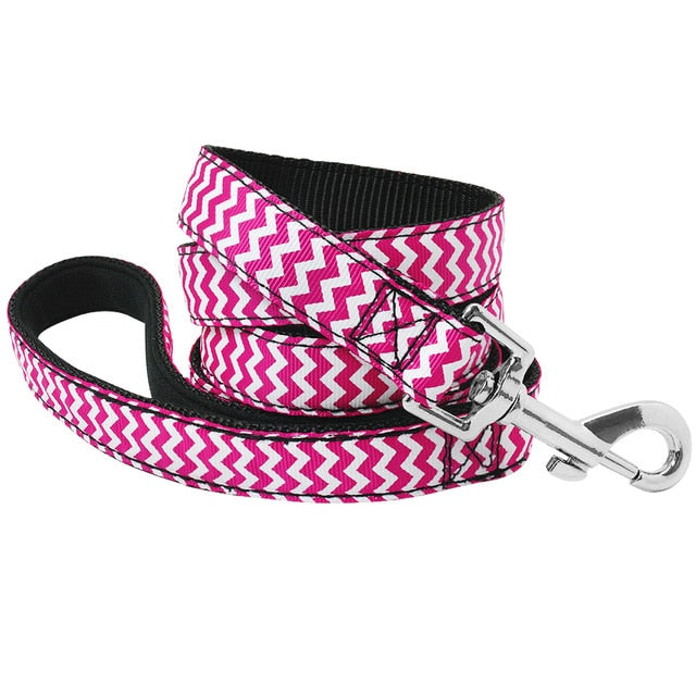 Active Hands-Free Dog Leash.