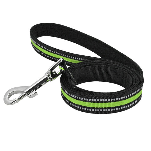 Reflective Nylon Dog Leash.