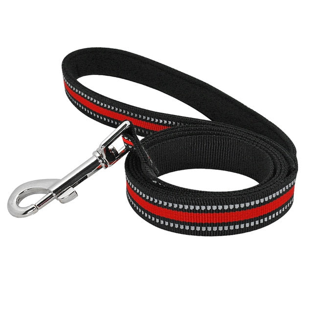 Reflective Nylon Dog Leash.
