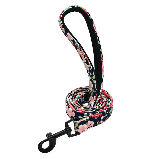 Colorful Patterned Dog Leash.