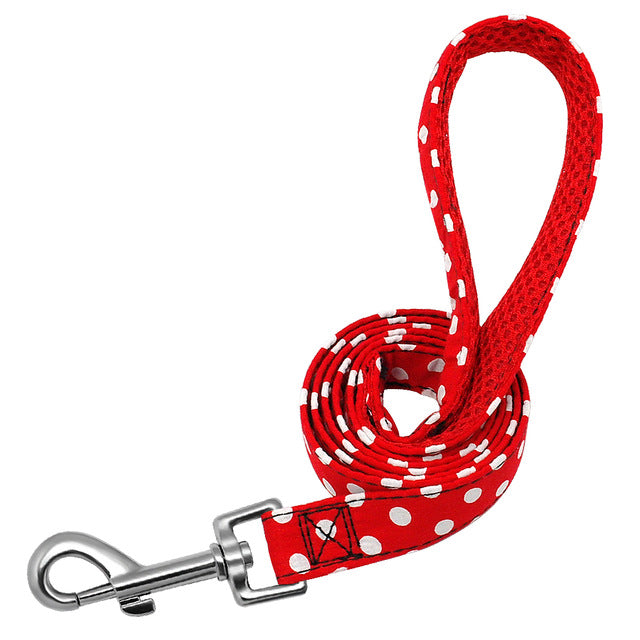 Polka Dots Dog Leash.
