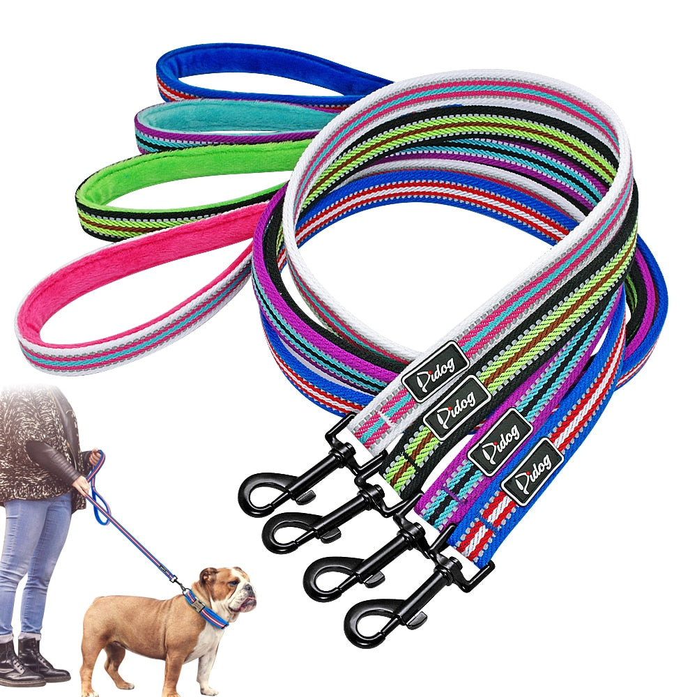 Striped Dog Leash.