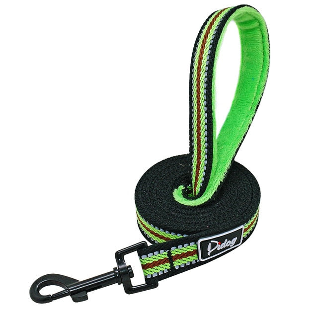 Striped Dog Leash.